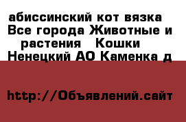 абиссинский кот вязка - Все города Животные и растения » Кошки   . Ненецкий АО,Каменка д.